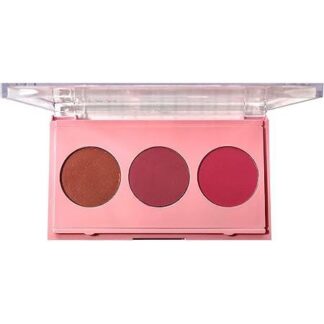Paleta De Blush 12g Ph0318 Phallebeauty