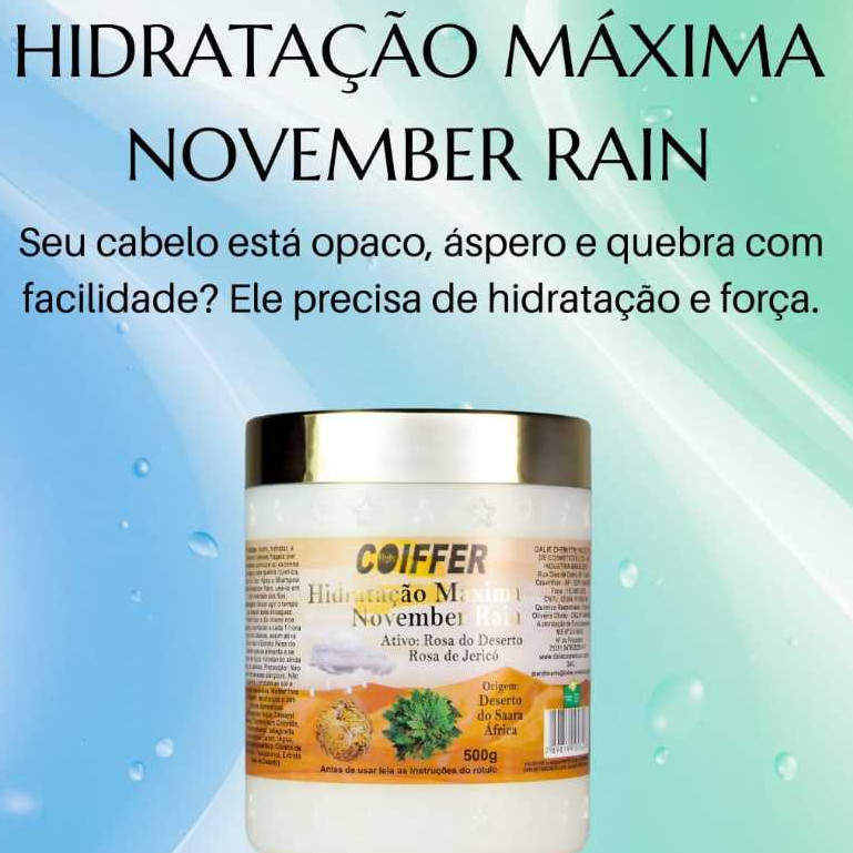 Máscara Capilar Coiffer November Rain 500g - Imagem 5