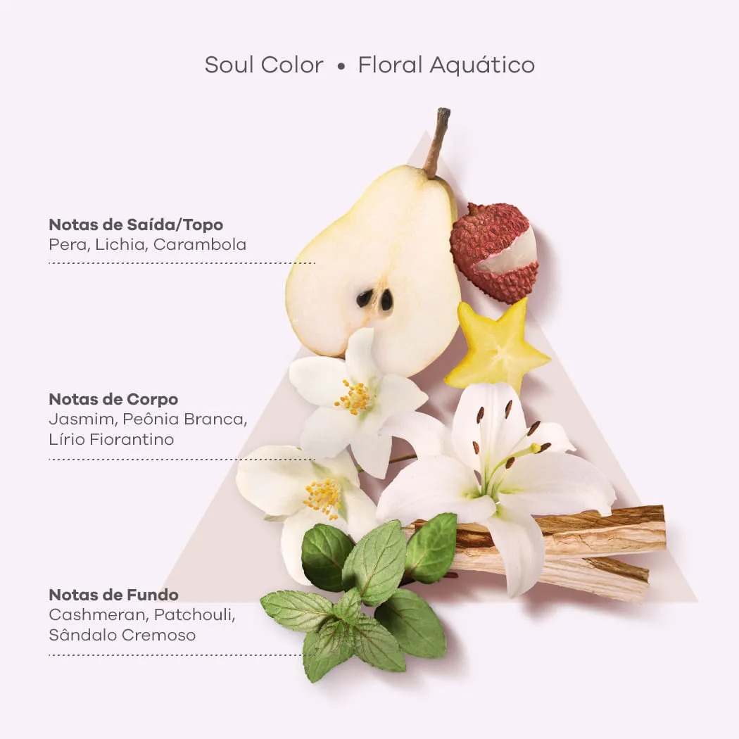 Soul Color Condicionador 250ml